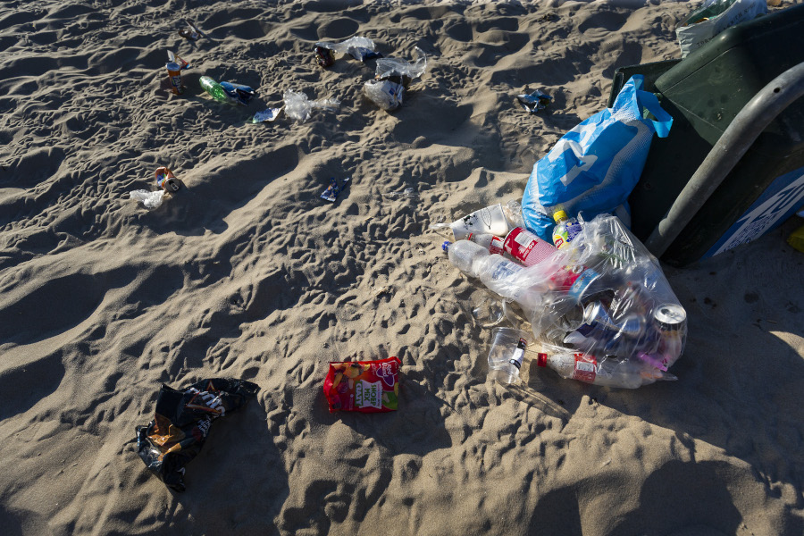 Descripción de la imagen